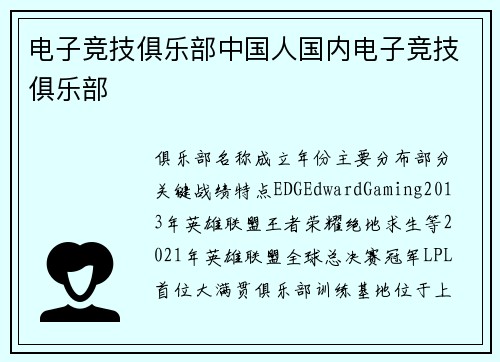 电子竞技俱乐部中国人国内电子竞技俱乐部